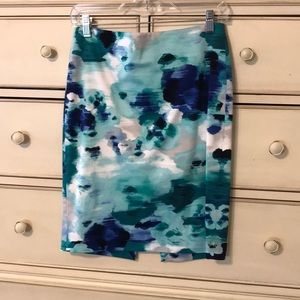 Watercolor Pencil Skirt